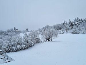 zava e la neve2