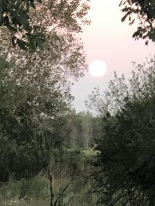 ???? LUNA PIENA IN ARIETE – Il fuoco del cuore autentico 9 IMG 9050